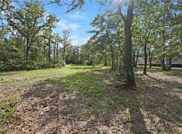 1045 Lakeview Drive, Somerville, TX 77879