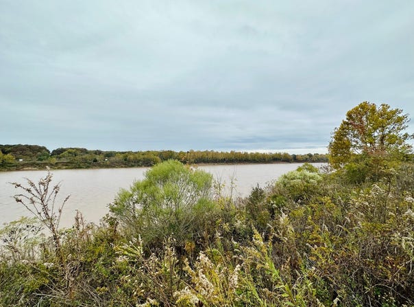 Madison Drive, Marksville, LA 71350