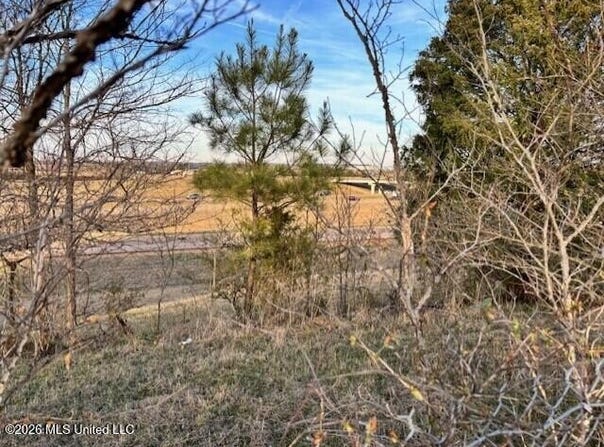 100 Dempsey Dr. lot: 19,, Byhalia, MS 38611