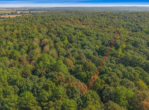 County Road 404, Lafe, AR 72436