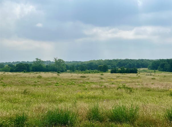 Tract 7 S Ranch Dr., Graham, TX 76450