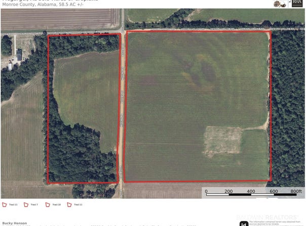 Wiggins Road, Frisco City, AL 36445