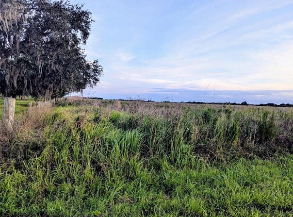 TOM BRYAN RD, ZOLFO SPRINGS, FL 33890