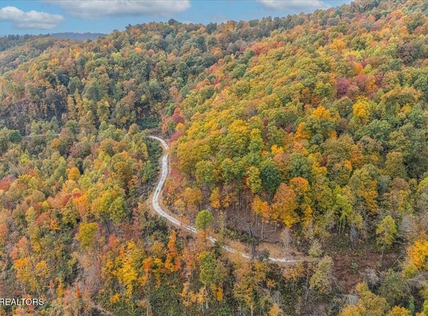 Buffalo Rd lot: O, Oneida, TN 37841