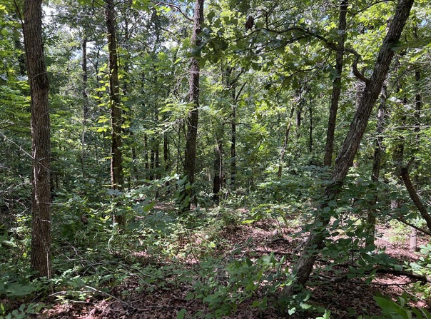Pr Off Ridge Haven, Mammoth Spring, AR 72554