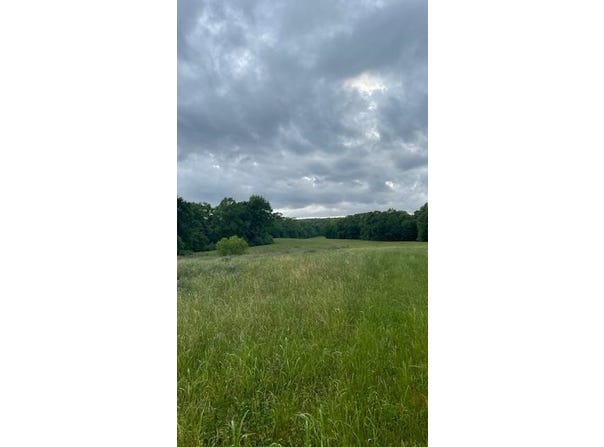 2824 FM 705, Bronson, TX 75929