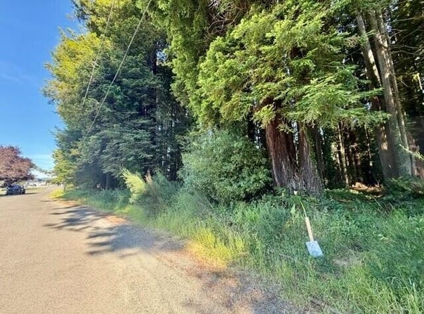 026 Moore Avenue, Eureka, CA 95501
