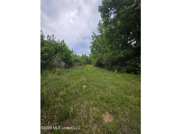1542 Wellman Drive, Brookhaven, MS 39601