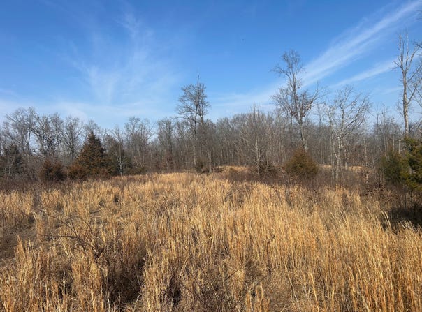 E Hwy 32, Salem, MO 65440