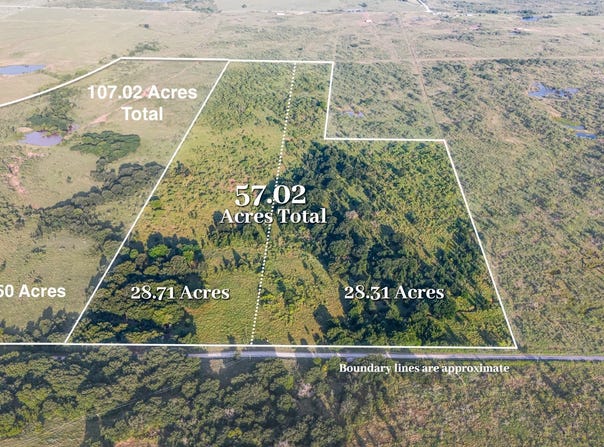 TBD Tract 6 50 Acres Boren Road, Ringgold, TX 76261
