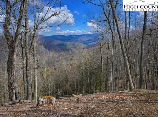 Raspberry Lane, Elk Park, NC 28622