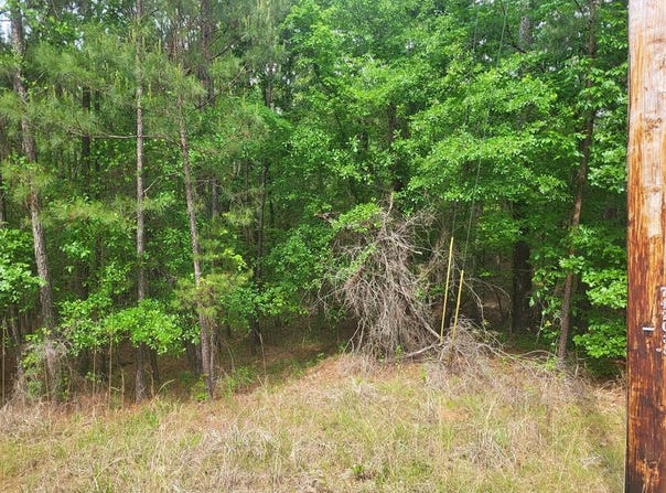 Dianthus Drive, Sparta, GA 31087