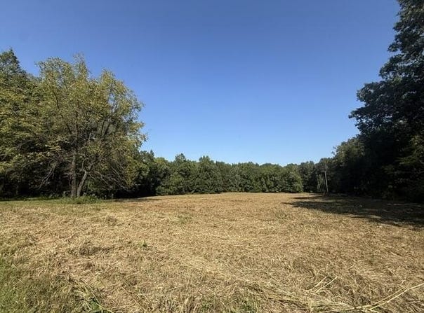 Ellis Lane, SPRINGVILLE, TN 38256
