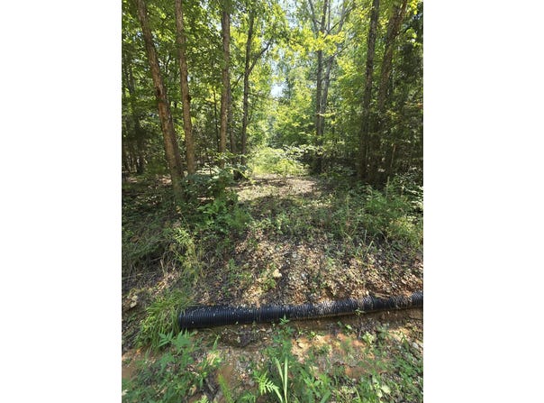 0001 County Road 421, Birch Tree, MO 65438