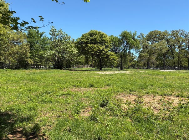 441 CR 167 Road, Whitesboro, TX 76273