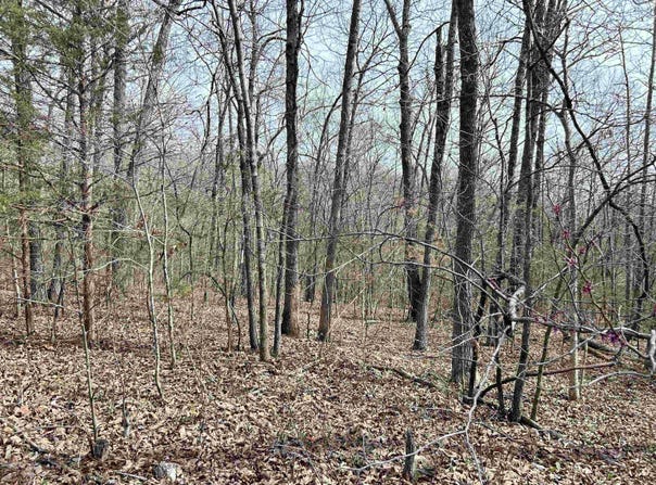 Giles Road, Hardy, AR 72542