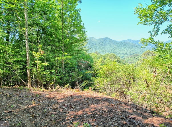 Raven Fork Trail, Dillard, GA 30537