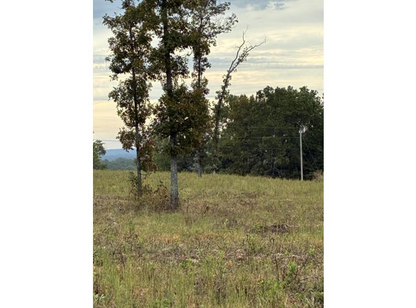 Highway 76 E Route 2, Ava, MO 65608