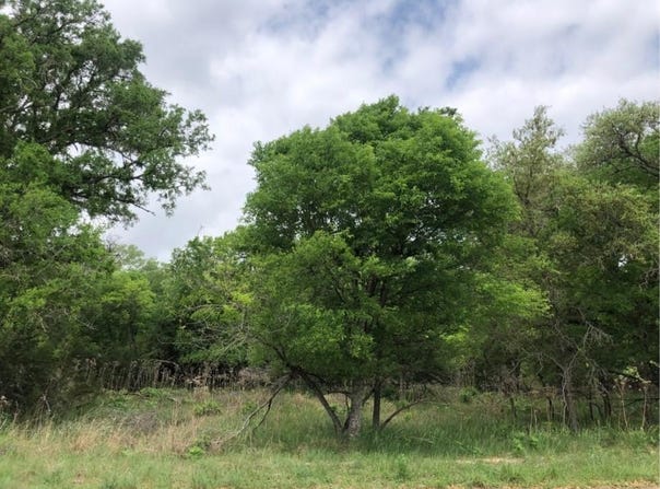 76 E Valley Springs Rd, Wimberley, TX 78676