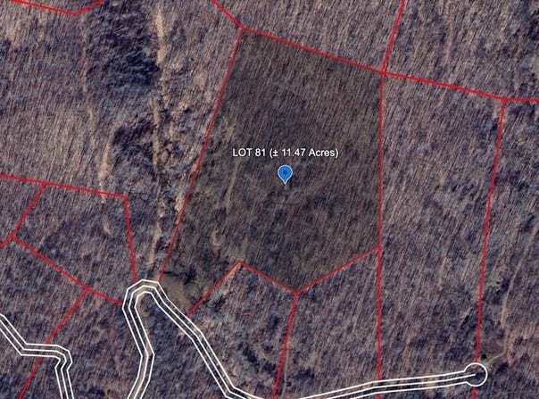 191 GERBER DAISY TRAIL, BRAGG, WV 25918