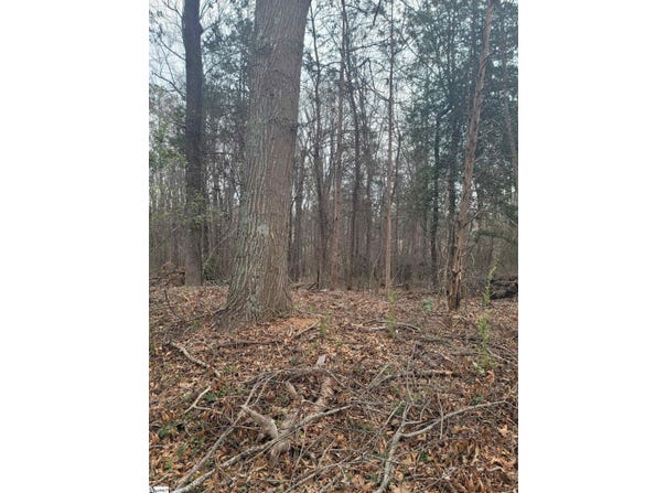 Thompson Drive, Greenville, SC 29607