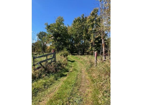 N Sheridan E, Sheridan, MI 48884