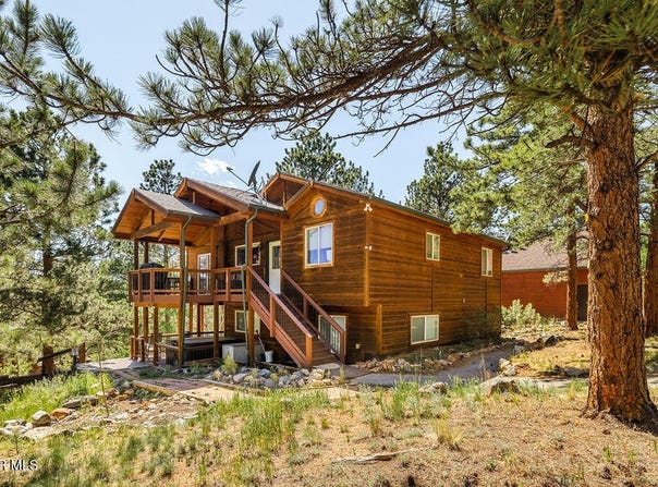 163 Buffum Street, Bailey, CO 80421