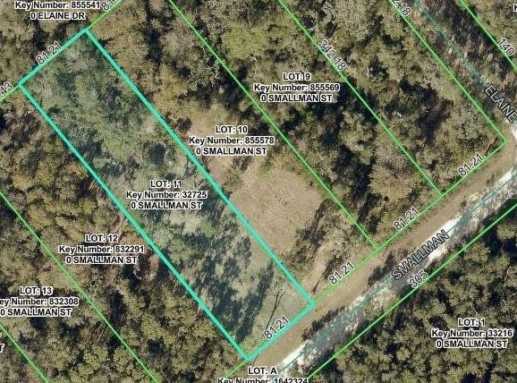 SMALLMAN Street, WEBSTER, FL 33597