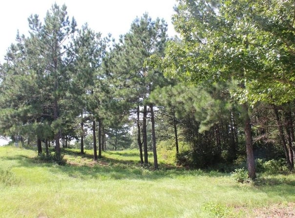 290 County Road 173, Jasper, TX 75951
