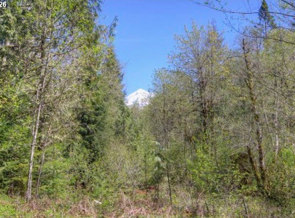 20284 E CARNARVON Dr, Rhododendron, OR 97049