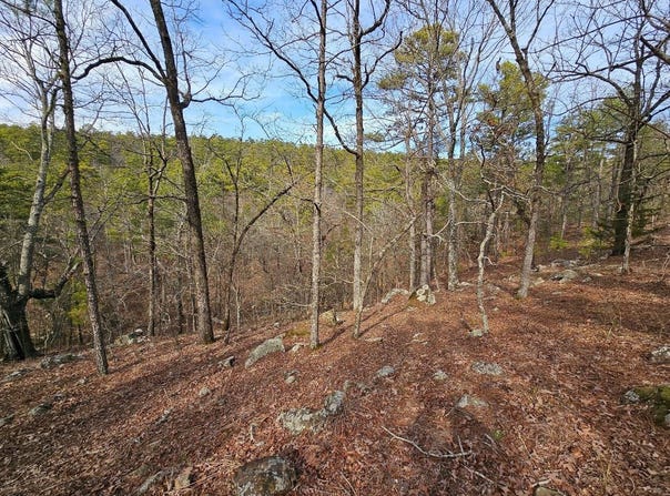 Compton Hollow, Talihina, OK 74571