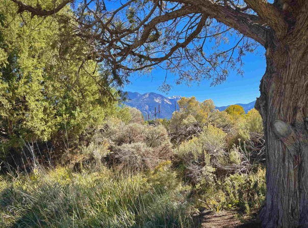 402 A Hondo Seco Rd, El Prado, NM 87514