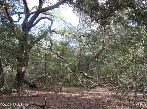 S COUNTY ROAD 315, Interlachen, FL 32148