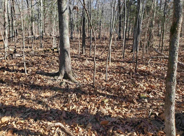 15776 Hwy 74 E Tract #1, Marshall, AR 72650-9999