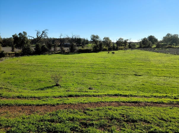 23743 Tehama Avenue, Gerber, CA 96035