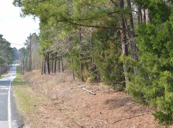 Bickley Road, Irmo, SC 29063
