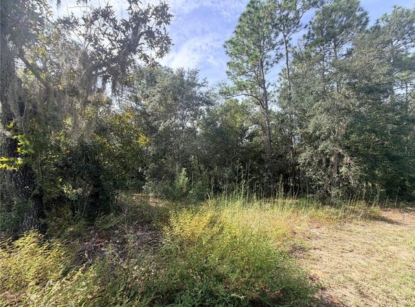 5066 E ANNA JO Drive, INVERNESS, FL 34452