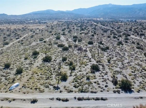Smoke Tree, Pinon Hills, CA 92372