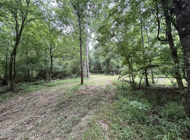 6642 Grange Hall Road, Osyka, MS 39657