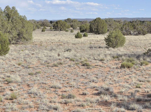 176 CR N5549, Concho, AZ 85924