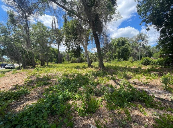 COUNTY ROAD 42, UMATILLA, FL 32784