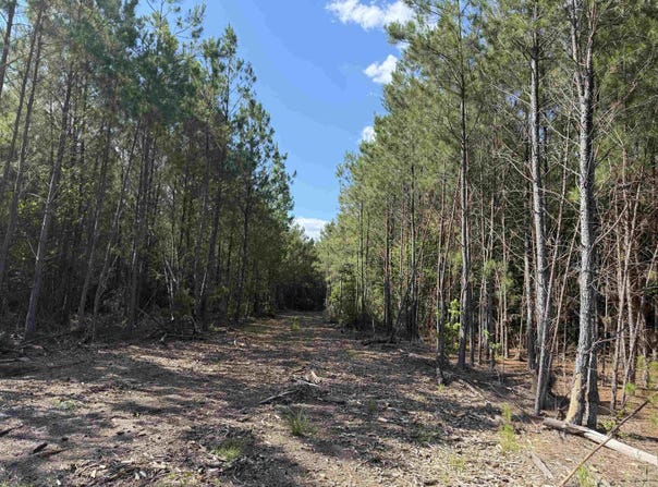 8862 Ware Dr., Nichols, SC 29581