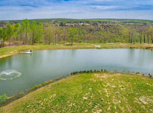 3839 Crockett Point, Jasper, TN 37347