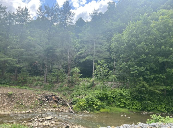 Walnut Lane, Harlan, KY 40831