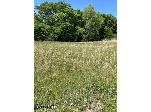789 Smith Bend Lane, Gainesboro, TN 38562