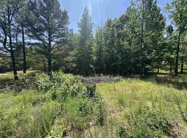 1096 CR 472, Piggott, AR 72454