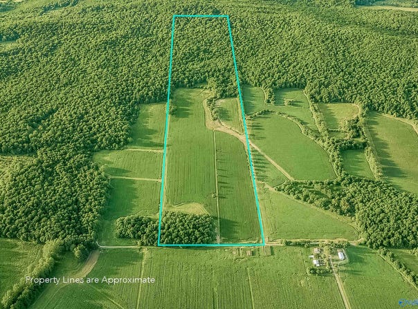 99AC Simmons Lane, New Market, AL 35761