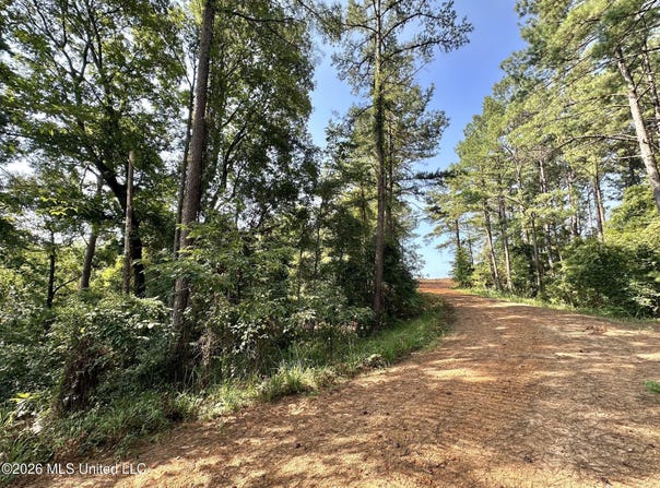 Highway 43, Ethel, MS 39067