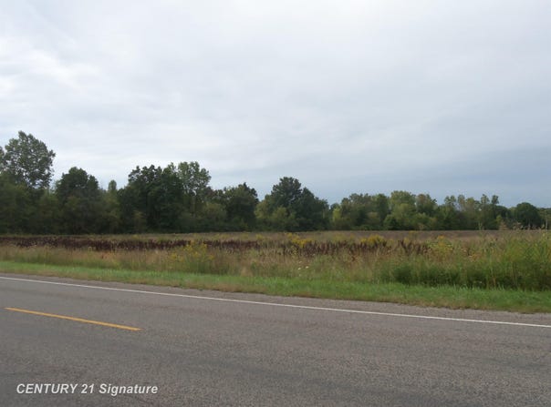 V/L W Coldwater Road, Flushing, MI 48433