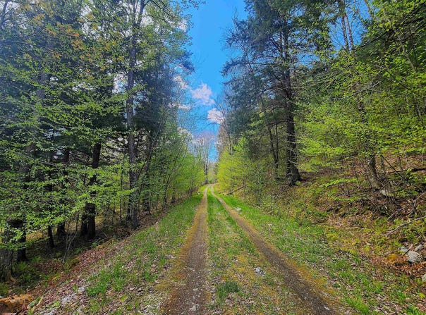 Linden Way, Chester, VT 05143